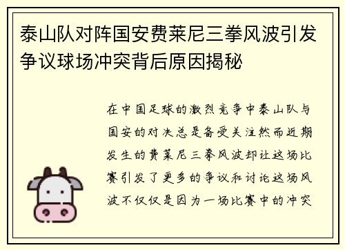 泰山队对阵国安费莱尼三拳风波引发争议球场冲突背后原因揭秘