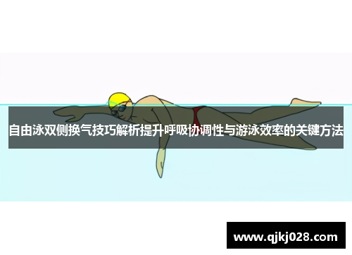 自由泳双侧换气技巧解析提升呼吸协调性与游泳效率的关键方法